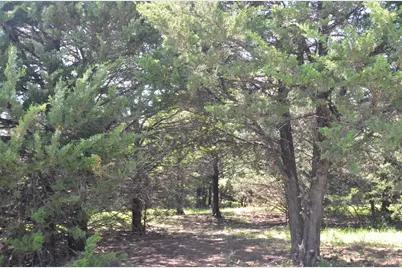 21.543 Acres W Fm 120 Highway, Pottsboro, TX 75076 - Photo 3