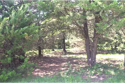 21.543 Acres W Fm 120 Highway, Pottsboro, TX 75076 - Photo 15