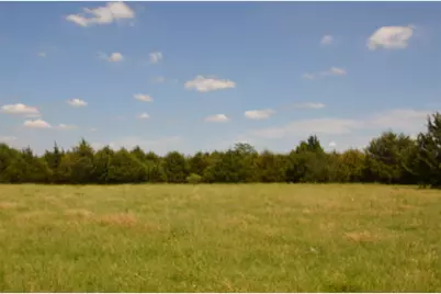 21.543 Acres W Fm 120 Highway, Pottsboro, TX 75076 - Photo 5