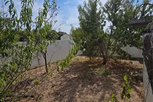 1331 Jay Bird Rd, Springtown, TX 76082 - Photo 39