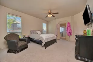 545 Wild Ivy Trail, Fort Worth, TX 76052 - Photo 15
