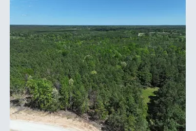475 Cherokee Trail, Lovelady, TX 75851 - Photo 7
