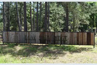 475 Cherokee Trail, Lovelady, TX 75851 - Photo 3