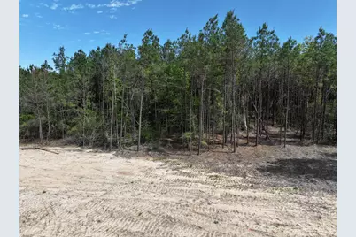 475 Cherokee Trail, Lovelady, TX 75851 - Photo 11