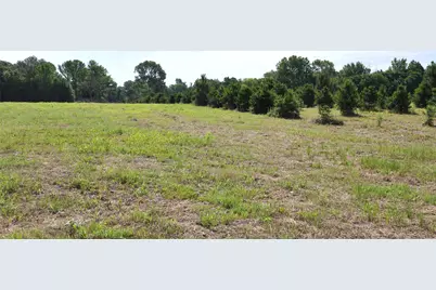 Tbd Vz County Road 4912, Van, TX 75790 - Photo 7