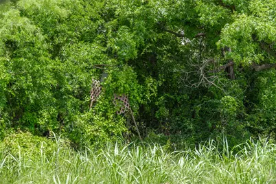 4960 Fm 1480, San Saba, TX 76877 - Photo 23