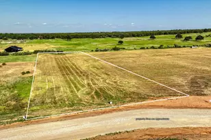 Tbd Chico Three Quarter Loop, Poolville, TX 76487 - Photo 15