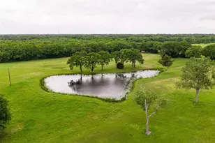 1050 Vz County Rd 3704, Wills Point, TX 75169 - Photo 27