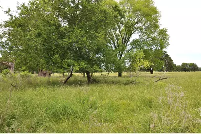 Tbd Fm-1395, Edgewood, TX 75117 - Photo 7