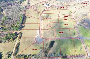 Lot 36 Southshores, Pittsburg, TX 75686 - Photo 1