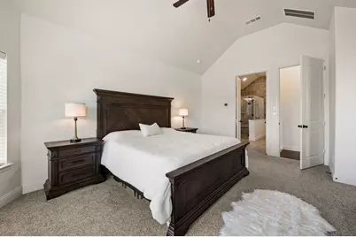 216 Village Creek Drive, McKinney, TX 75071 - Photo 17