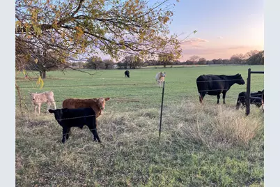 Pr 114 Pr 114, Covington, TX 76636 - Photo 13