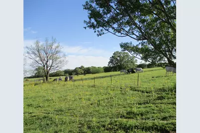 Pr 114 Pr 114, Covington, TX 76636 - Photo 17
