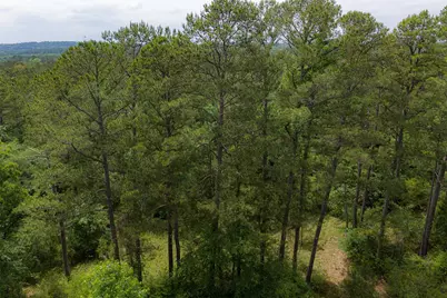 302 An County Road 3914, Palestine, TX 75801 - Photo 31
