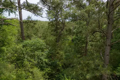 302 An County Road 3914, Palestine, TX 75801 - Photo 29