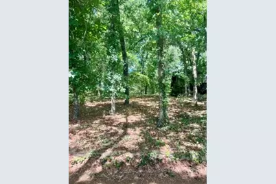517 Private Road 7908, Hawkins, TX 75765 - Photo 17