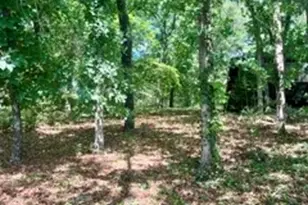517 Private Rd 7908, Hawkins, TX 75765 - Photo 17
