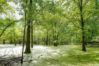00 Off Of Farm To Market Road 2064, Troup, TX 75789 - Photo 3