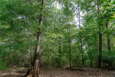 00 Off Of Farm To Market Road 2064, Troup, TX 75789 - Photo 25