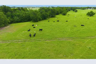 7635 County Road 4209, Campbell, TX 75422 - Photo 17