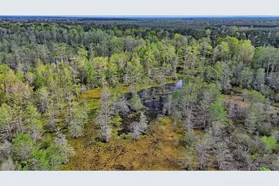Tbd County Rd 401, Carthage, TX 75633 - Photo 21