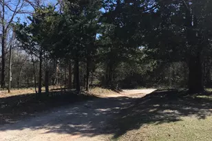 00 Daniel Ln, Pottsboro, TX 75076 - Photo 1