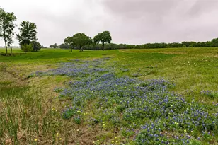 5531 NE County Road 3130, Kerens, TX 75144 - Photo 37