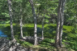 187 N Roy Chisum Rd, Leakey, TX 78873 - Photo 37