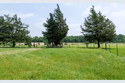 6100 Fm 314, Ben Wheeler, TX 75754 - Photo 7