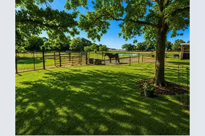 2801 County Road 115, Whitesboro, TX 76273 - Photo 3