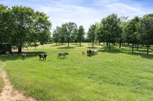 7401 County Rd 1204, Cleburne, TX 76031 - Photo 39