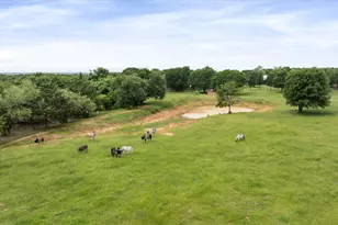 7401 County Rd 1204, Cleburne, TX 76031 - Photo 39