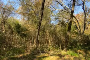 11543 N Hwy 19, Athens, TX 75752 - Photo 17