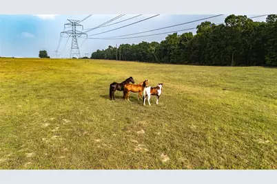 000 County Road 4520, LaRue, TX 75770 - Photo 13