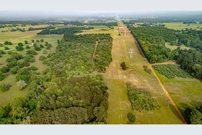 000 County Road 4520, LaRue, TX 75770 - Photo 5