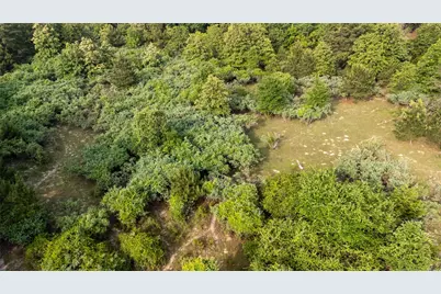 000 County Road 4520, LaRue, TX 75770 - Photo 15