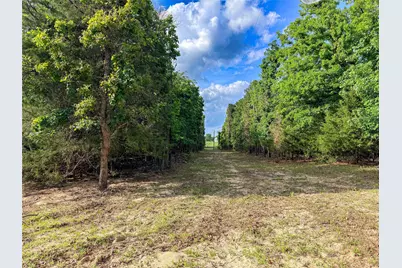 000 County Road 4520, LaRue, TX 75770 - Photo 23
