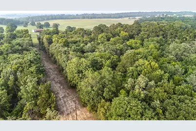 000 County Road 4520, LaRue, TX 75770 - Photo 17