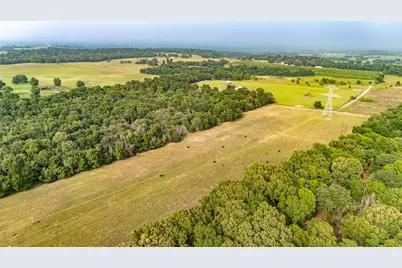 000 County Road 4520, LaRue, TX 75770 - Photo 9