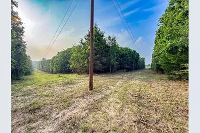 000 County Road 4520, LaRue, TX 75770 - Photo 27