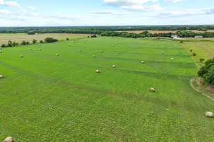 2972 Co Rd 4826, Wolfe City, TX 75496 - Photo 13
