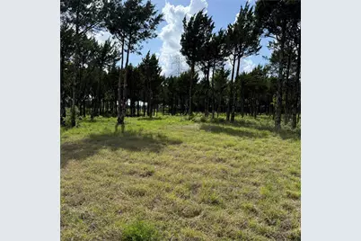 721 Rayburn Drive, DeSoto, TX 75115 - Photo 7