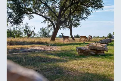 Lot 85 Jupiter Hills Drive, Graford, TX 76449 - Photo 9