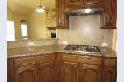 2515 Appaloosa Lane, Celina, TX 75009 - Photo 9