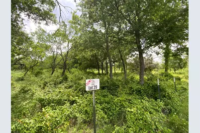Lot 29 Twisted Creek Drive, Gustine, TX 76455 - Photo 1