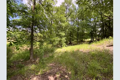 Lot 29 Twisted Creek Drive, Gustine, TX 76455 - Photo 21