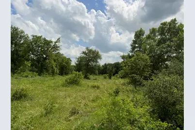 Lot 29 Twisted Creek Drive, Gustine, TX 76455 - Photo 23