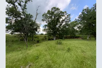 Lot 29 Twisted Creek Drive, Gustine, TX 76455 - Photo 19
