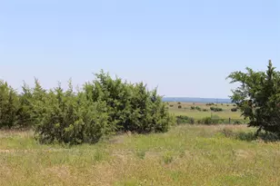 1019 Kingsley Ct, Weatherford, TX 76087 - Photo 15