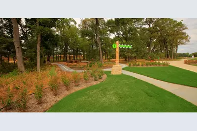 249 Bee Balm Road, McKinney, TX 75071 - Photo 37